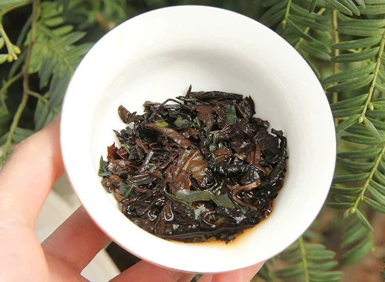 Trà Phổ nhĩ Vân Nam